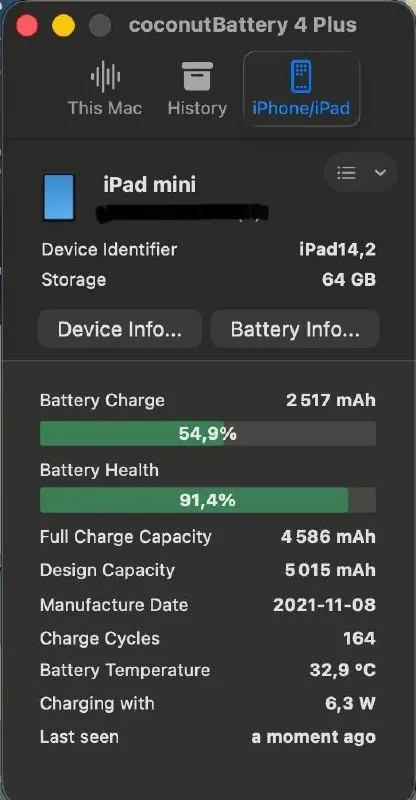 iPad mini 64 GB