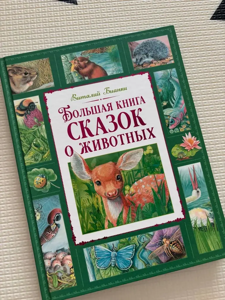 Большая книга с очень красивыми иллюстрациями, новая. 10€ Бурхассот