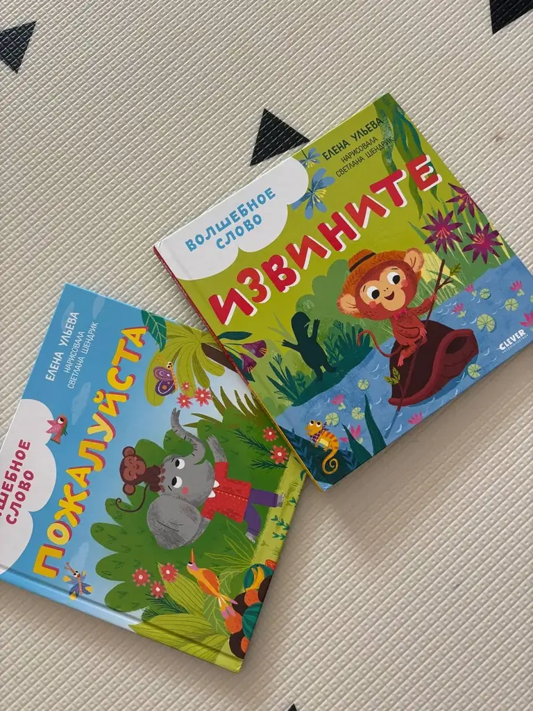 6€, книги в идеальном состоянии. Бурхассот