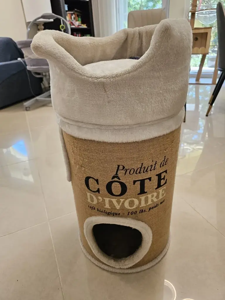 Cat's house For FREE -