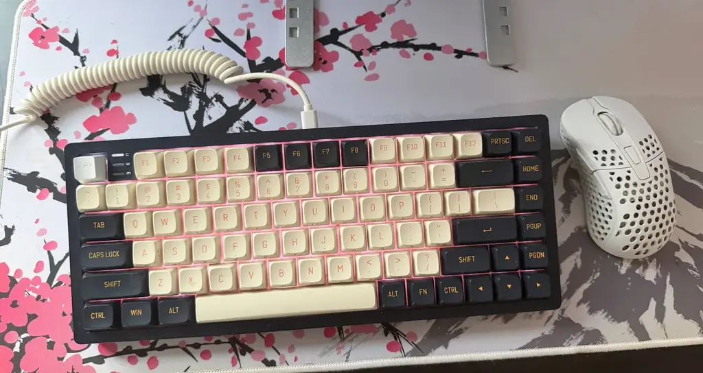 Готовый игровой сет: Dark Project + Xtrfy M4 Wireless
