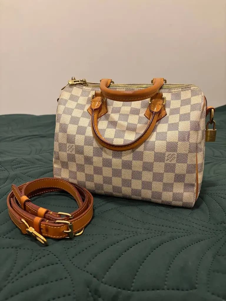 Louis Vuitton Speedy 25